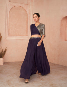 Party Wear Indo Western Dress