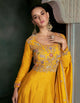Haldi Party Wear Indo Western Gown