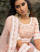Delicate AD3607 Designer Peach Net Lehenga Choli by Fashion Nation