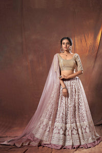 Sangeet Party Wear Designer Lehenga Choli by Fashion Nation