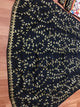 SF5134 Designer Bollywood Inspired Silk Lehenga Choli - Fashion Nation