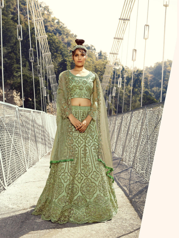 Designer Party Wear Lehenga Choli - Fashion Nation